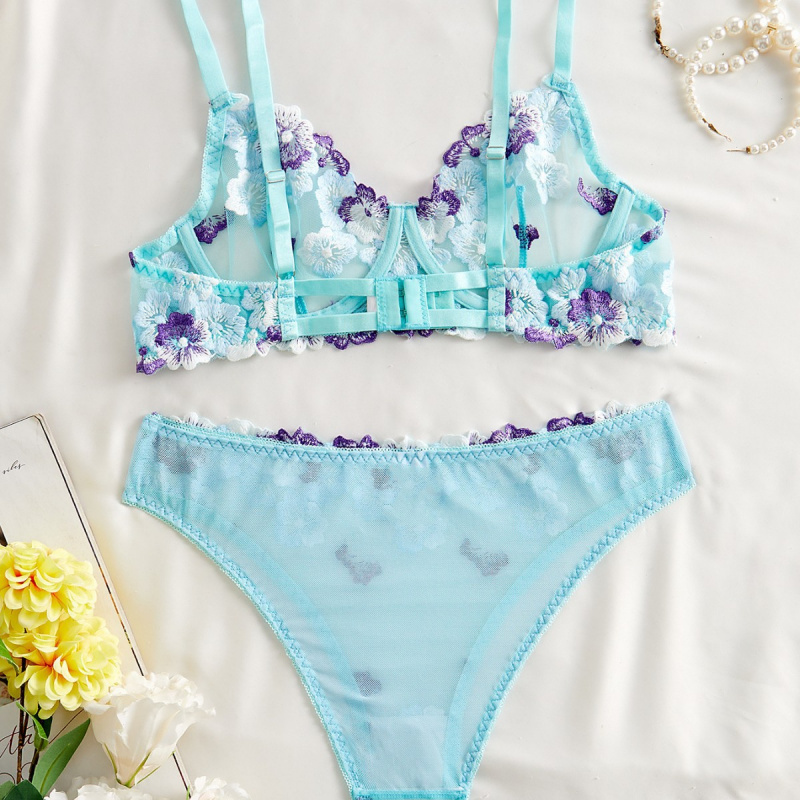 Bikini lingerie set with sheer - Sheer Bra Lace review and price